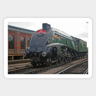 A4 Pacific Class - Union of South Africa, October 2018 Sticker